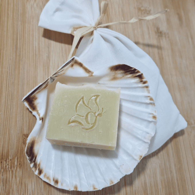 Porte Savon COQUILLE