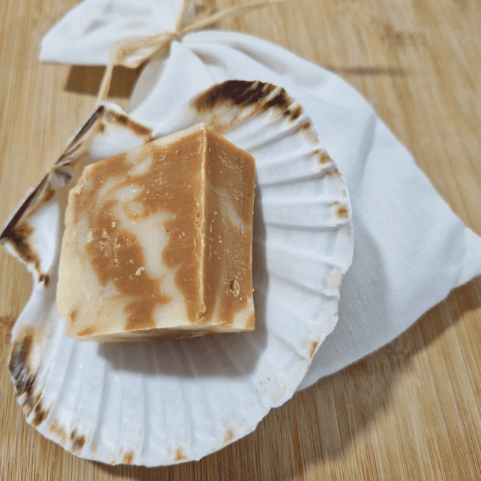 SAVON ABRICOT Bonne Mine