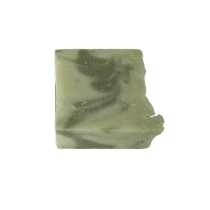 SAVON OLIVE Cheveux & Corps